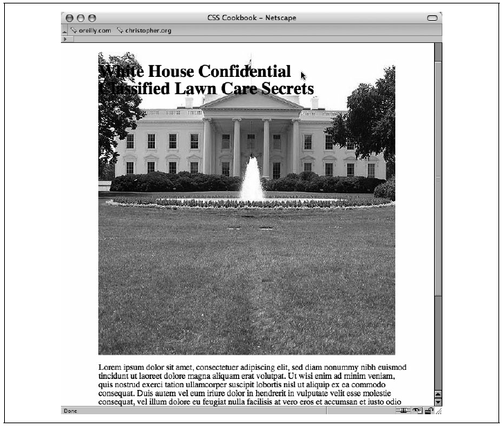 HTML-Text (noch ohne Stildefinitionen) wird mit div-Element umgeben