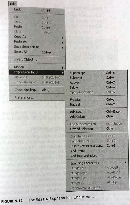 Mathematica: Edit → Expression Input menu